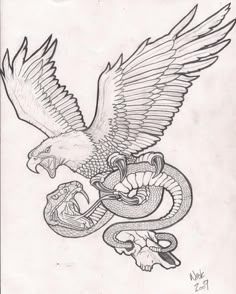 a drawing of an eagle with a snake on it