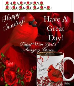 happy sunday have a great day filled with god's amazing grace coffee mugs