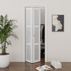 an open door leading into a white room with a potted plant on the floor