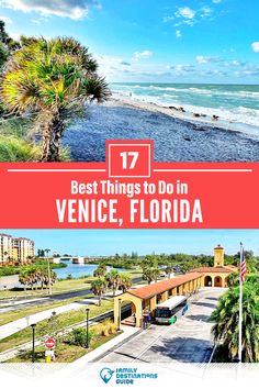 the best things to do in venice, florida