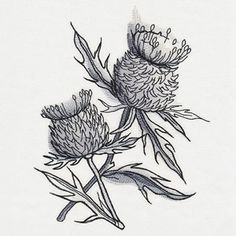 a drawing of two flowers on a white paper