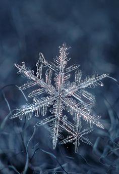 a snowflake is shown in the middle of some grass and it looks like it's made out of ice