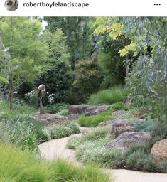 an outdoor garden with rocks and plants