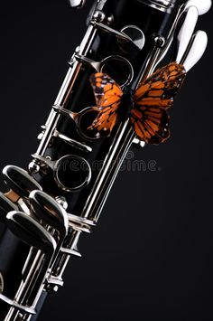 an orange butterfly sitting on the back of a flute royalty images, stock photos and clippings