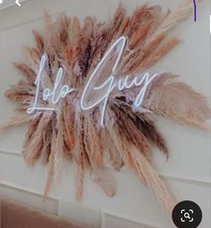 an image of a sign that is on the wall with feathers in front of it