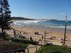 many people are on the beach and in the water at this point, there is no image here