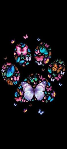 colorful butterflies are arranged in the shape of a circle