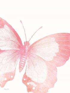 a pink butterfly sitting on top of a white surface with its wings spread wide open