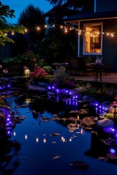 an outdoor pond with lights around it and some water lilies on the ground in front