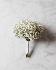 a bouquet of baby's breath on a marble surface