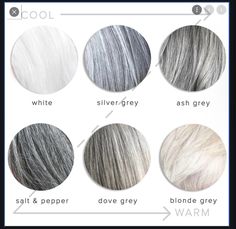 Grey Hair Colour Chart, Shades Of Gray Hair, Pelo Color Ceniza, Different Shades Of Gray, Ash Grey Hair, Grey Hair Inspiration