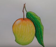 a pencil drawing of an orange with a green leaf on it's tip and the top half of its fruit