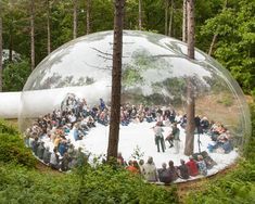 a group of people sitting in the middle of a forest under a large glass ball