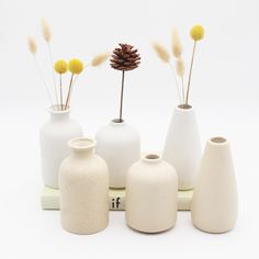 five white vases with yellow flowers in them on a tray against a white background