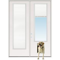 a dog standing in front of a white door