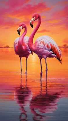 two pink flamingos standing in the water at sunset