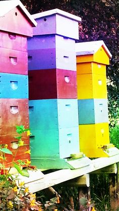 several beehives are painted in different colors