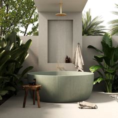 a bath tub sitting in the middle of a bathroom next to a lush green plant