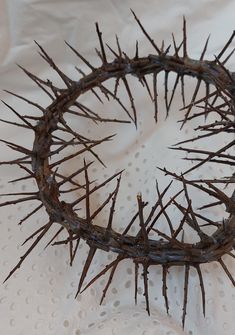 Jesus Thorn Crown, Crown Thorns, Christ Crown, Woven Wreath, Tree Crown, Wreath Natural, Head Crown, Home Guard, Acacia Tree