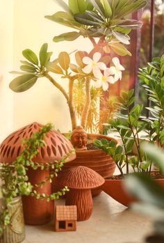 there are many potted plants on the table next to each other in front of a window