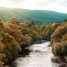 a river running through a lush green forest filled with lots of trees next to a hillside