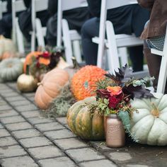 rows of pumpkins and gourds are lined up on the side of a brick walkway