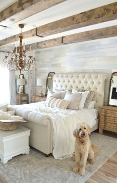 a dog standing in front of a bed with white linens and pillows on it