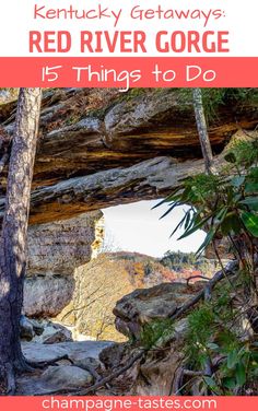 the red river gorge in kentucky with text overlay that reads, kentucky getaway's red river gorge 15 things to do