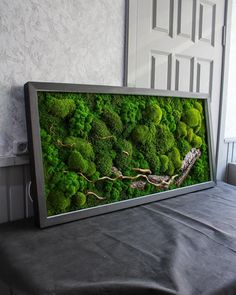 a moss covered wall is displayed in front of a white door and black tablecloth