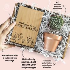 the bridesmaid's gift box includes a plant, potted succulents and a card