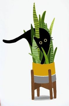 a black cat in a potted plant on top of a wooden stool with green leaves