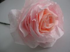 a single pink rose sitting on top of a table