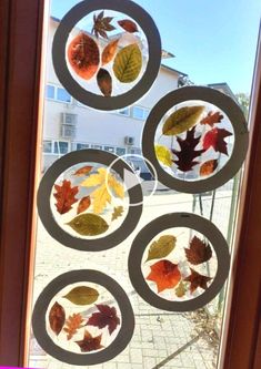 the fall leaves are made out of paper plates and circles on a window sill