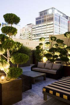 an outdoor living area with couches, tables and trees