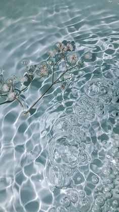 the water is crystal clear and there are flowers floating in it