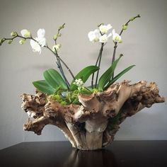 a vase filled with white flowers on top of a wooden table next to a wall