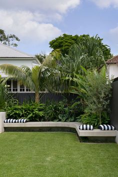 an outdoor area with plants and benches in the grass, surrounded by palm trees on either side