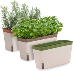 three planters with plants in them on a white background