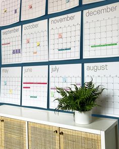 a wall with calendars on it and a potted plant