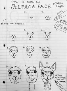 a sheet of paper with drawings of llamas and sheep in different ways on it