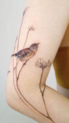 a bird sitting on top of a plant next to a woman's arm and leg