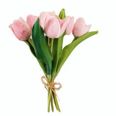 a bouquet of pink tulips tied with twine on a white background,