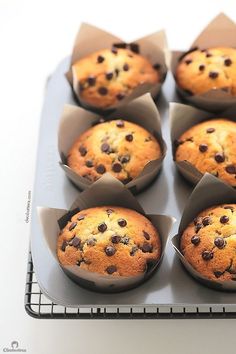 chocolate chip muffins sitting on top of a baking pan with paper liners