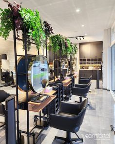 a salon with chairs, mirrors and plants