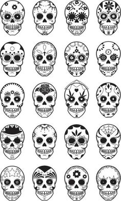 a set of six skulls with different facial markings on their faces, all in black and white