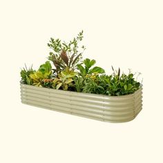 a planter filled with lots of green plants