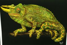 a green and yellow chamelon sitting on top of a tree branch in front of a black background