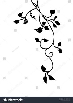 black and white vine with leaves clipart stock photo shutterstockerstocks com