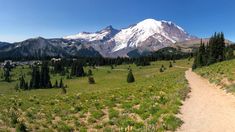 a dirt path in the middle of a grassy field with trees and mountains in the background