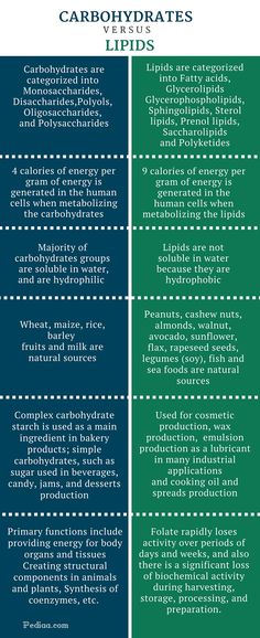 the differences between carbohydrates and lipids